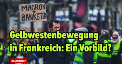„Gelbwestenbewegung“ in Frankreich: Ein Vorbild? „Gelbwestenbewegung“ in Frankreich: Ein Vorbild?